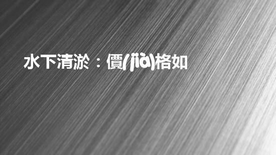 水下清淤：價(jià)格如何算？